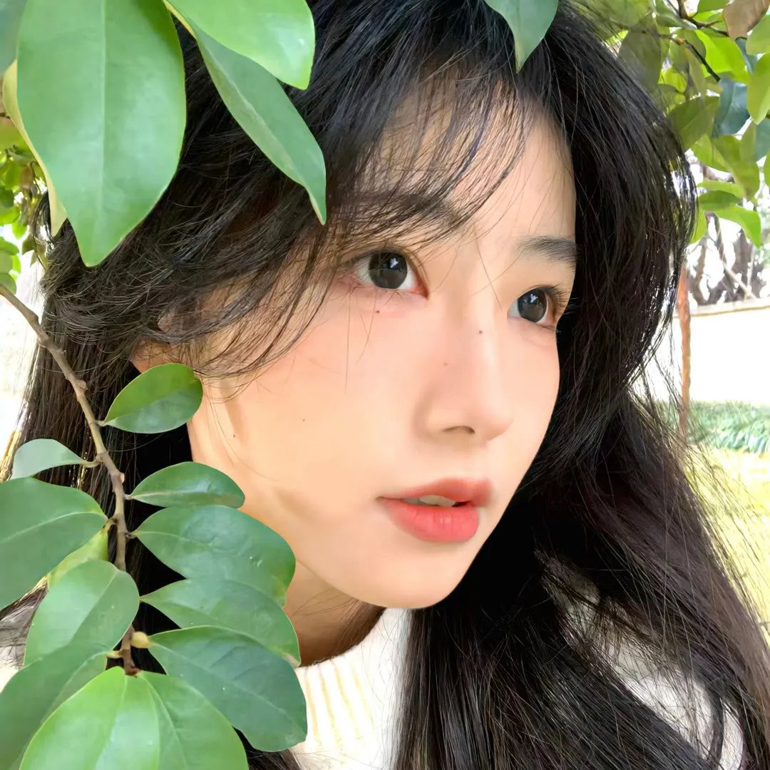 绝代双骄